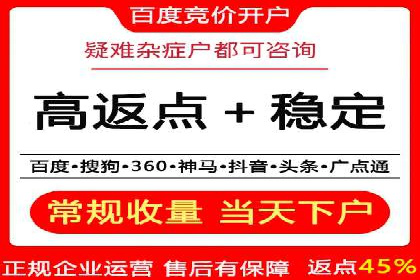 关键词竞价排名案例解析与启示